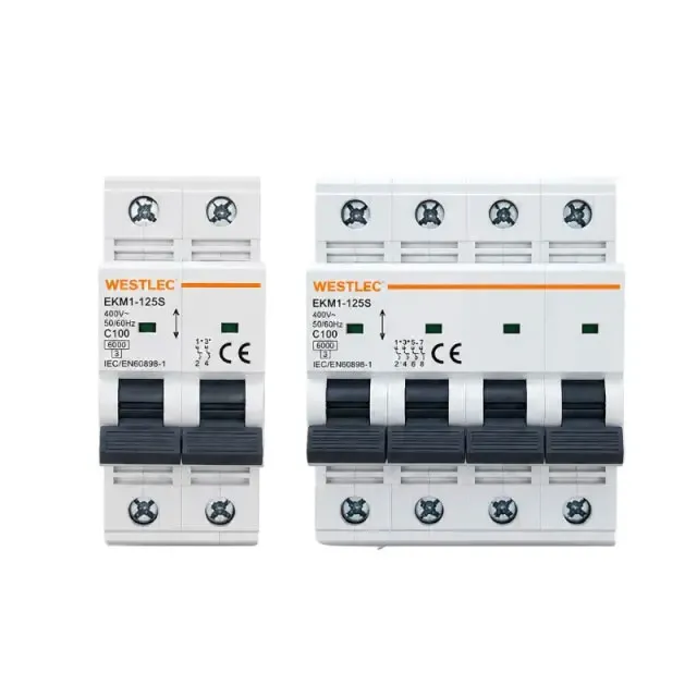 MCB AC 100A 400V 2P/4P 6kA WESTLEC
